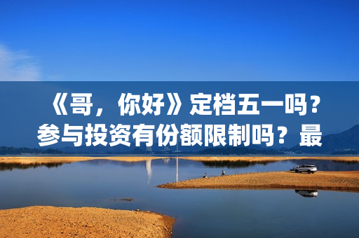 《哥，你好》定档五一吗？参与投资有份额限制吗？最低多少起投？(哥哥你好吗是什么歌)