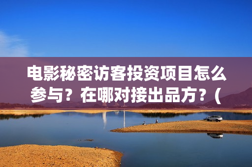 电影秘密访客投资项目怎么参与？在哪对接出品方？(电影 秘密访客)