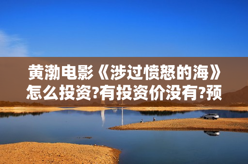 黄渤电影《涉过愤怒的海》怎么投资?有投资价没有?预估收益? 黄渤电影《涉过愤怒的海》怎么投资?有投资价没有?预估收益?