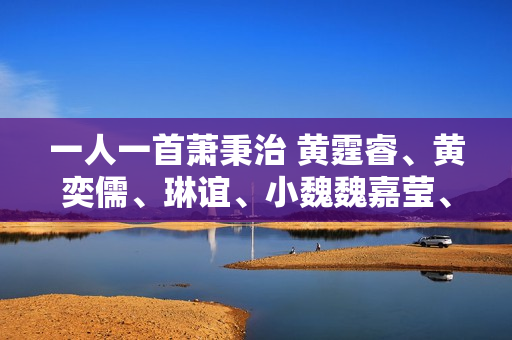 一人一首萧秉治 黄霆睿、黄奕儒、琳谊、小魏魏嘉莹、法兰轮番献唱挺萧秉治