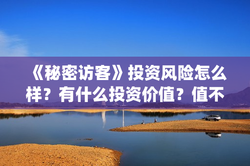 《秘密访客》投资风险怎么样？有什么投资价值？值不值得投资？(秘密访客票房破亿 视频)