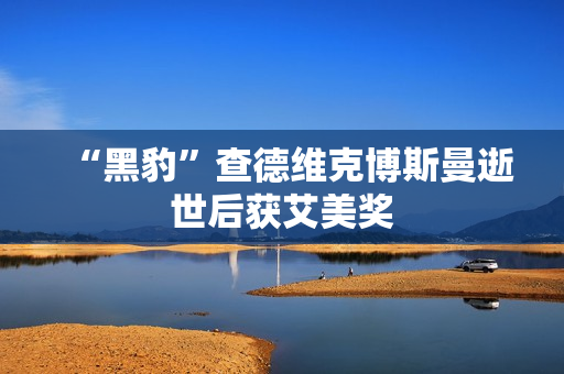 “黑豹”查德维克博斯曼逝世后获艾美奖