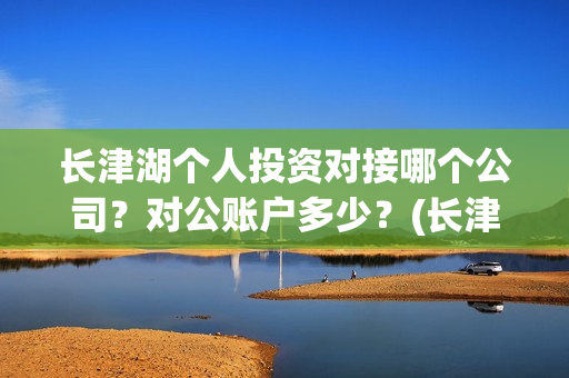 长津湖个人投资对接哪个公司？对公账户多少？(长津湖投资额度)