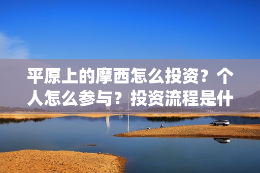 平原上的摩西怎么投资?个人怎么参与?投资流程是什么?(平原上的摩西中的摩西是啥) 平原上的摩西怎么投资?个人怎么参与?投资流程是什么?(平原上的摩西中的摩西是啥)