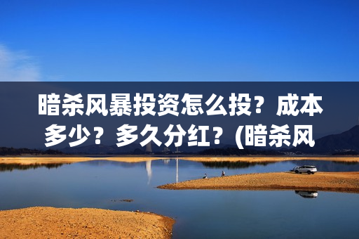 暗杀风暴投资怎么投？成本多少？多久分红？(暗杀风暴演员)