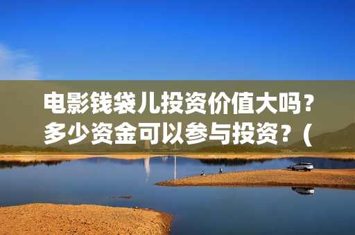 电影钱袋儿投资价值大吗？多少资金可以参与投资？(电影 钱袋)