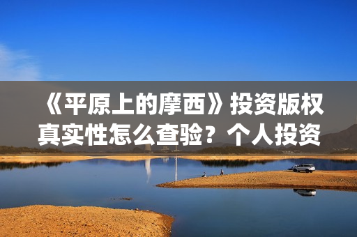 《平原上的摩西》投资版权真实性怎么查验？个人投资规避哪些风险？(平原上的摩西主要讲了什么)