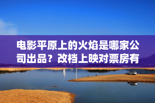 电影平原上的火焰是哪家公司出品？改档上映对票房有优势吗？怎么投资(平原上的火焰上映时间)