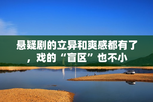 悬疑剧的立异和爽感都有了，戏的“盲区”也不小