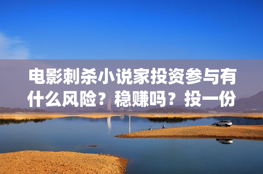 电影刺杀小说家投资参与有什么风险？稳赚吗？投一份什么成本？(电影刺杀小说家的演员表)