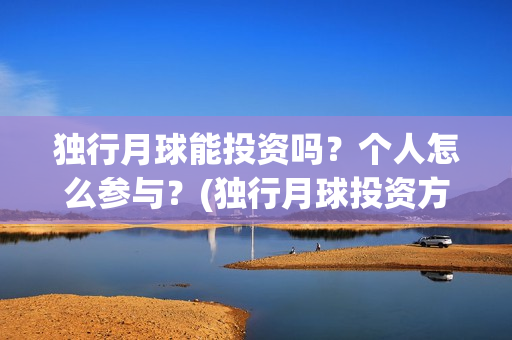 独行月球能投资吗？个人怎么参与？(独行月球投资方)