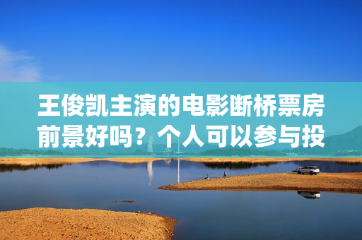 王俊凯主演的电影断桥票房前景好吗？个人可以参与投资认购吗？(王俊凯主演电影累计票房破20亿)
