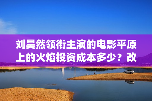 刘昊然领衔主演的电影平原上的火焰投资成本多少？改档会影响票房吗？(刘昊然代表电影)