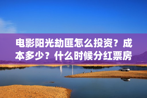 电影阳光劫匪怎么投资？成本多少？什么时候分红票房？(电影阳光劫匪最后看不懂)