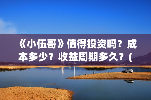 《小伍哥》值得投资吗？成本多少？收益周期多久？(小伍哥上映)