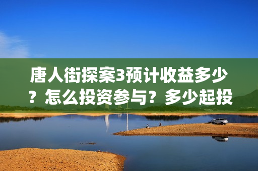唐人街探案3预计收益多少？怎么投资参与？多少起投？(唐人街探案3rmvb)