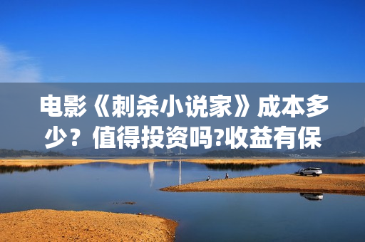 电影《刺杀小说家》成本多少？值得投资吗?收益有保障吗？(电影刺杀小说家二免费观看)