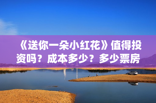 《送你一朵小红花》值得投资吗？成本多少？多少票房回本？(送你一朵小红花mp3下载)
