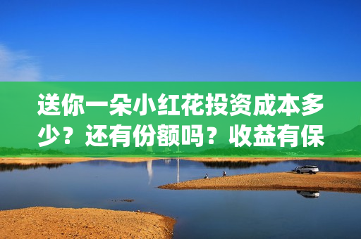 送你一朵小红花投资成本多少？还有份额吗？收益有保障吗？(送你一朵小红花歌词表达什么意思)