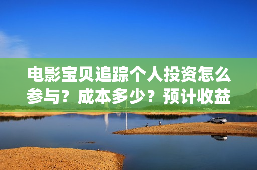 电影宝贝追踪个人投资怎么参与？成本多少？预计收益(宝贝追踪导演)