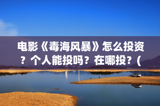 电影《毒海风暴》怎么投资？个人能投吗？在哪投？(毒海风暴有哪几家拍摄)