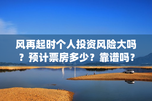 风再起时个人投资风险大吗？预计票房多少？靠谱吗？(风 再 起 时)
