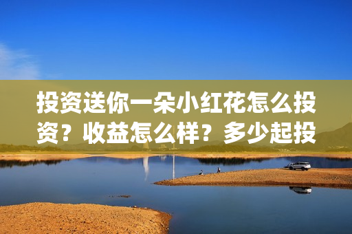 投资送你一朵小红花怎么投资？收益怎么样？多少起投？(投资送你一朵小红花)