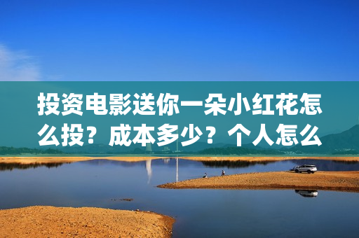 投资电影送你一朵小红花怎么投？成本多少？个人怎么参与？(投资电影一定赚钱吗)
