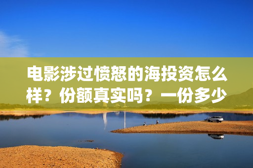 电影涉过愤怒的海投资怎么样？份额真实吗？一份多少钱？(电影涉过愤怒的海讲了什么)