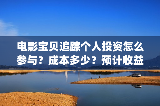 电影宝贝追踪个人投资怎么参与？成本多少？预计收益(宝贝追踪剧情介绍)