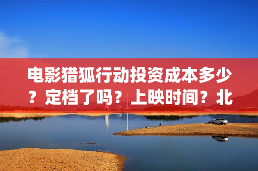 电影猎狐行动投资成本多少？定档了吗？上映时间？北京(猎狐行动电影简介)