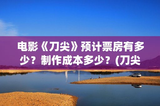 电影《刀尖》预计票房有多少？制作成本多少？(刀尖这部电影哪年拍的)