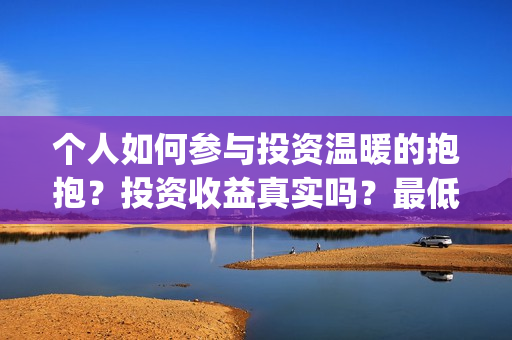 个人如何参与投资温暖的抱抱？投资收益真实吗？最低成本多少？(如何进行个人投资)