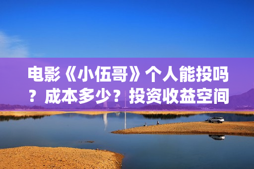 电影《小伍哥》个人能投吗？成本多少？投资收益空间大吗？(小伍哥在线观看)