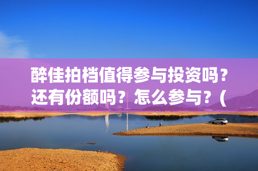 醉佳拍档值得参与投资吗？还有份额吗？怎么参与？(醉+拍档在线观看)