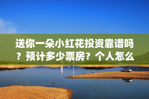 送你一朵小红花投资靠谱吗？预计多少票房？个人怎么参与？(送你一朵小红花简谱)