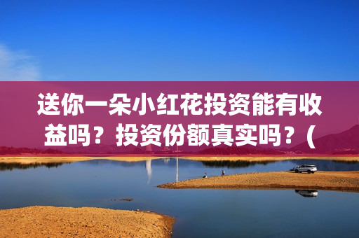 送你一朵小红花投资能有收益吗？投资份额真实吗？(送你一朵小红花歌词)