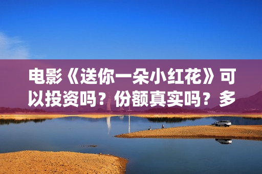 电影《送你一朵小红花》可以投资吗？份额真实吗？多少钱一份？(电影《送你一朵小红花》)