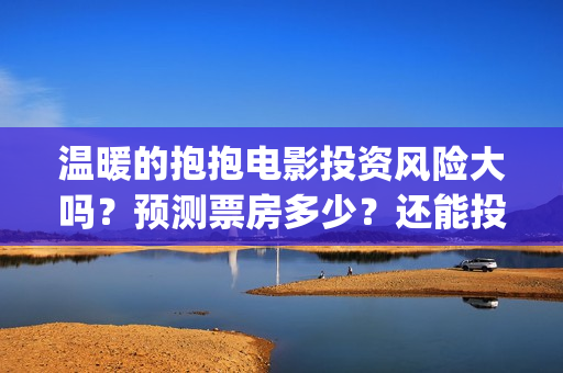 温暖的抱抱电影投资风险大吗？预测票房多少？还能投吗 (温暖的抱抱电影歌曲)