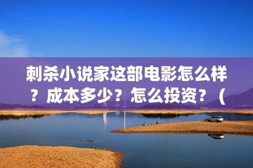 刺杀小说家这部电影怎么样？成本多少？怎么投资？ (刺杀小说家这部电影好看吗)