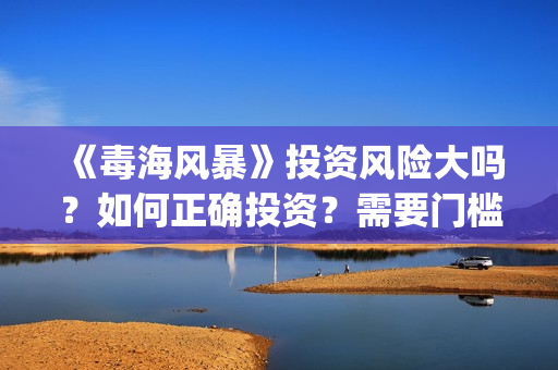 《毒海风暴》投资风险大吗？如何正确投资？需要门槛吗？(电影《毒海风暴》)