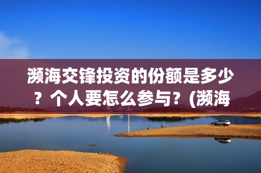 濒海交锋投资的份额是多少？个人要怎么参与？(濒海交锋成本溢价)