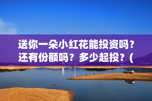 送你一朵小红花能投资吗？还有份额吗？多少起投？(送你一朵小红花电影)