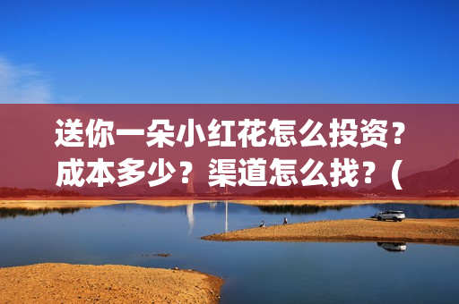 送你一朵小红花怎么投资？成本多少？渠道怎么找？(送你一朵小红花电影剧情介绍)