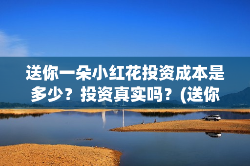 送你一朵小红花投资成本是多少？投资真实吗？(送你一朵小红花电影免费观看)