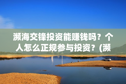 濒海交锋投资能赚钱吗？个人怎么正规参与投资？(濒海交锋投资方)