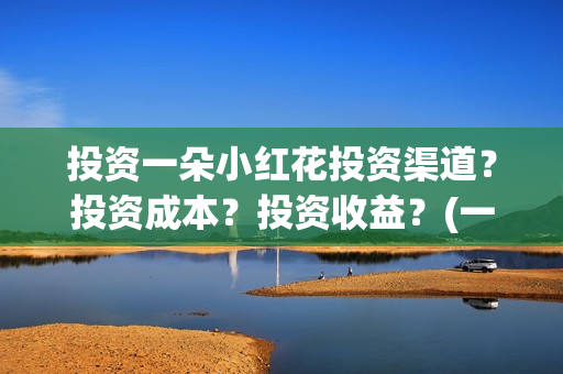 投资一朵小红花投资渠道？投资成本？投资收益？(一朵小红花公司)