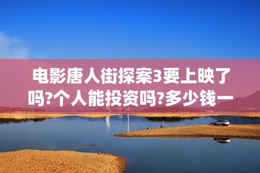 电影唐人街探案3要上映了吗?个人能投资吗?多少钱一份?(电影唐人街探案演员表)