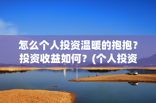 怎么个人投资温暖的抱抱？投资收益如何？(个人投资者怎么投资创业公司)