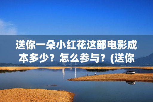 送你一朵小红花这部电影成本多少？怎么参与？(送你一朵小红花电影)